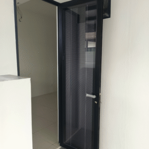 Swing Door