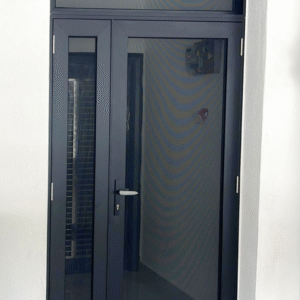 Swing Door